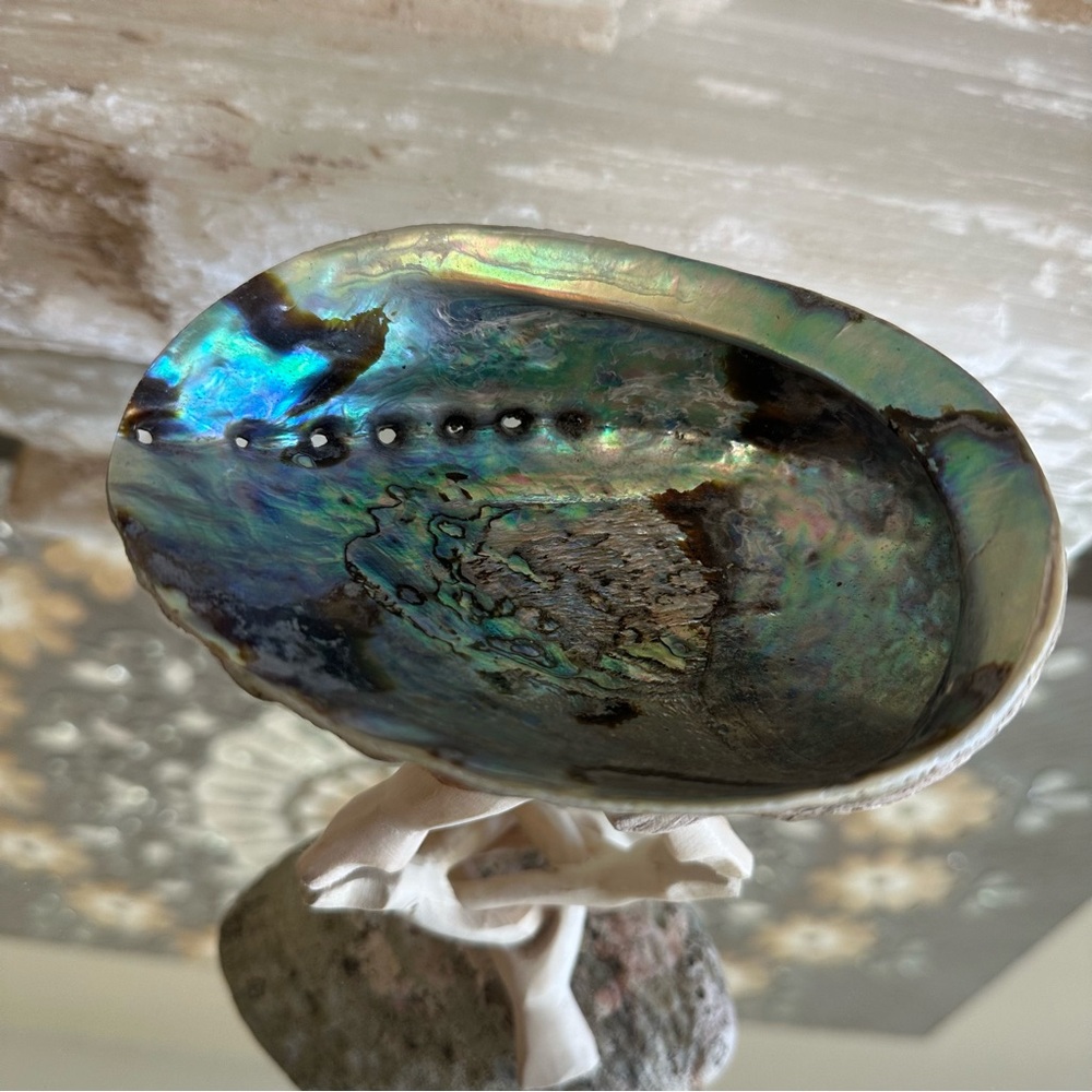 Elegant Abalone Shell Art Piece with collapsible stand ring holder trinket dish - Picture 4 of 15
